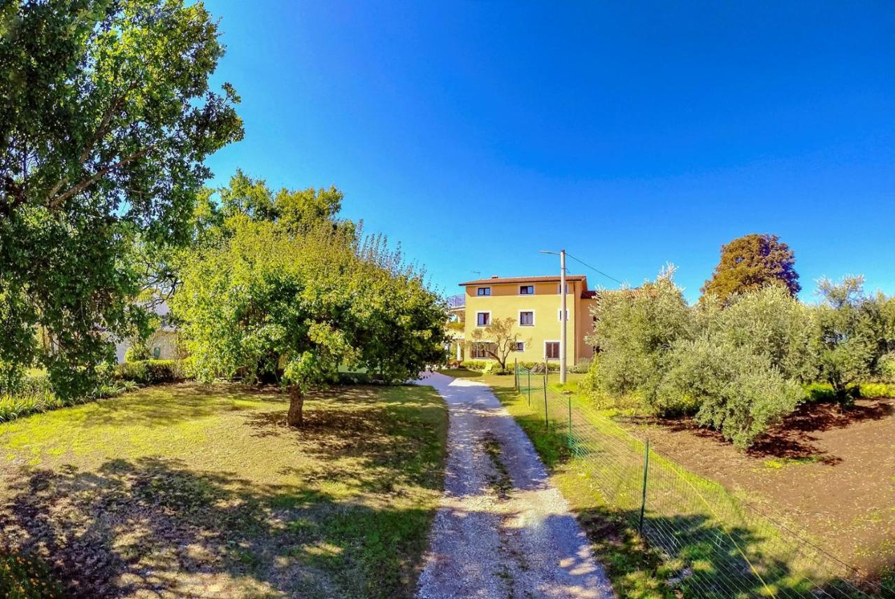 Studio Apartment Gianni Vižinada Exteriör bild