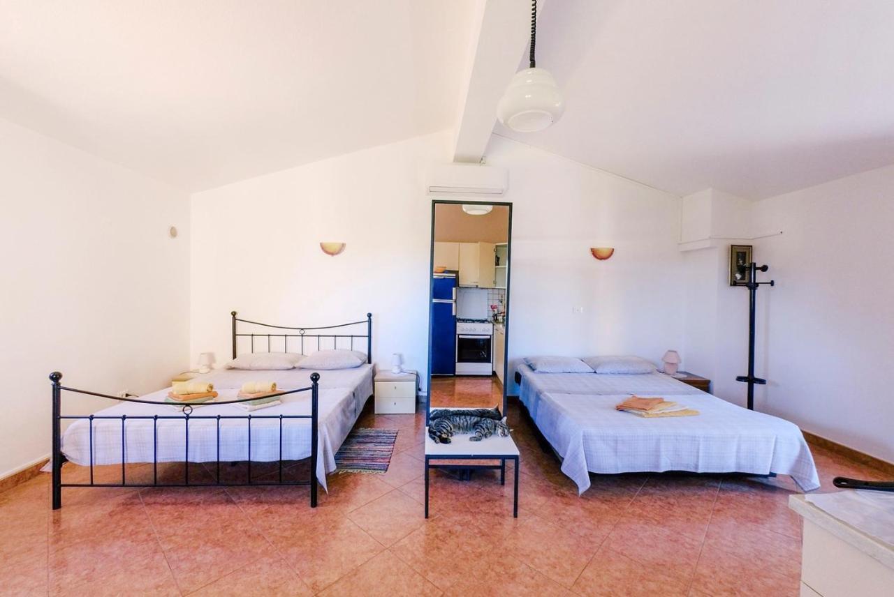 Studio Apartment Gianni Vižinada Exteriör bild